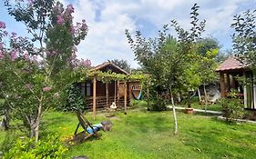Tiny Houses Genacvale